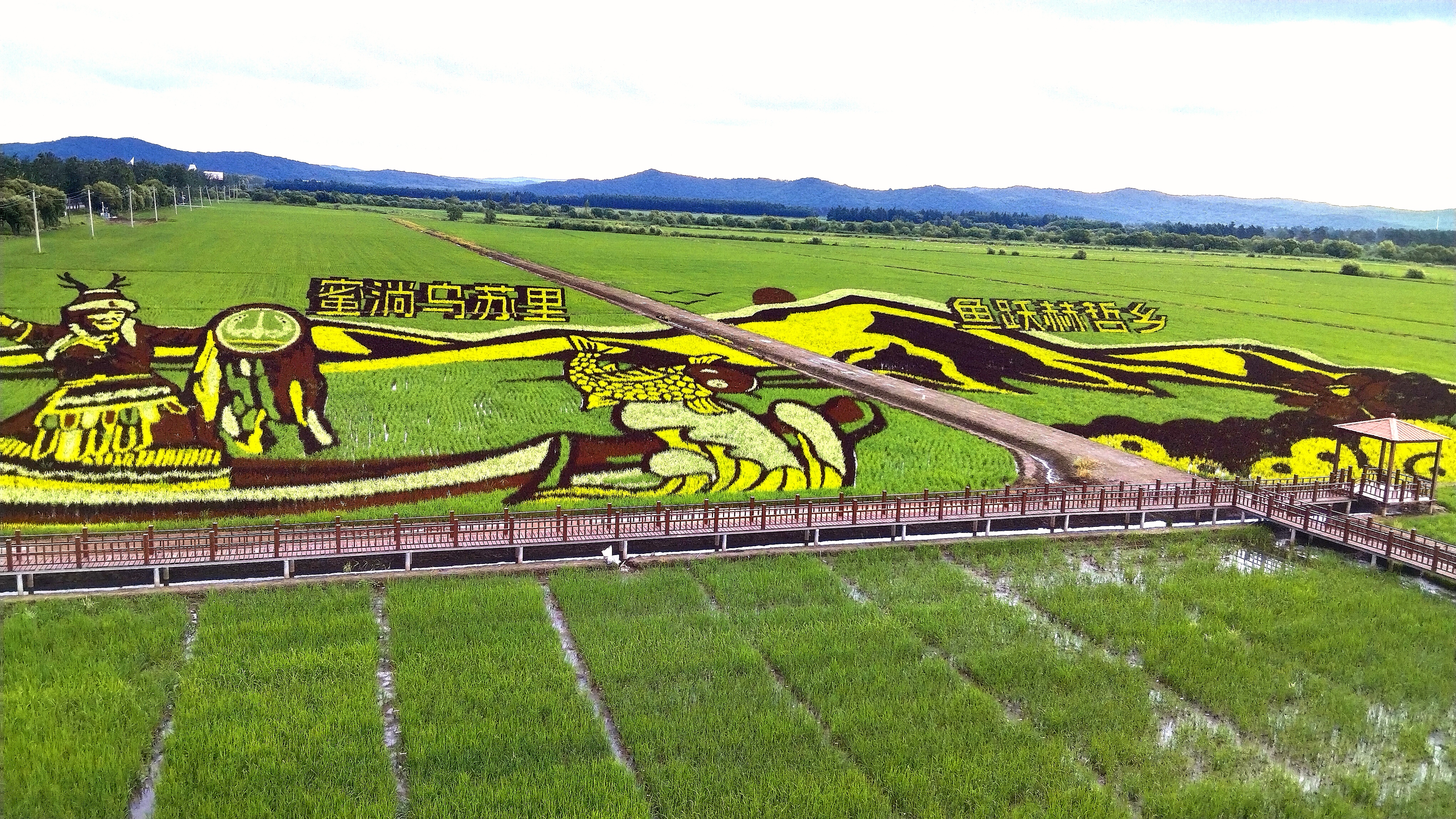 沃野织锦绘丰年